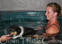 Hannah swimming one of our rough collie pups while being filmed for Animal Planet
