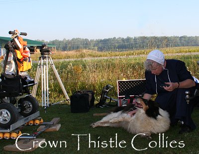 Collie dog takes a break from filming